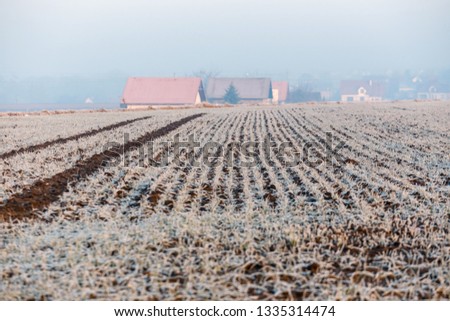 bright Sunrise over Frosted Field, country landscape