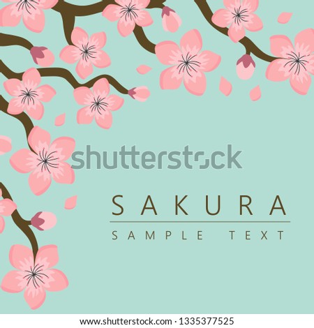 Sakura Cherry Blossom Pattern  japanese background, vector illustration, design for invitation, fabric, packaging, postcard, greeting cards