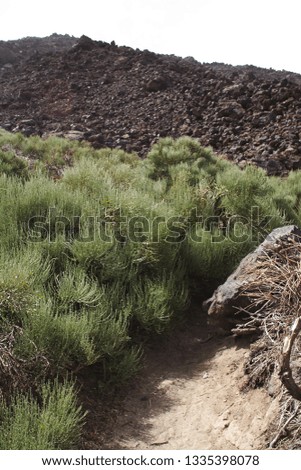 
Teide National Park