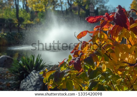 Beautiful autumn view in the park with a fountain.
