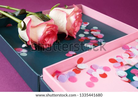 two pink roses in gift box with confetti, happy holiday concept