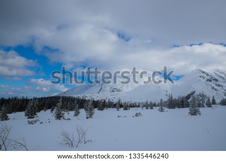 Snow covered mountain peaks in Zakopane and in Poland cover with