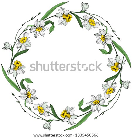 Vector White narcissus floral botanical flower. Wild spring leaf wildflower isolated. Engraved ink art on white background. Frame border ornament square.