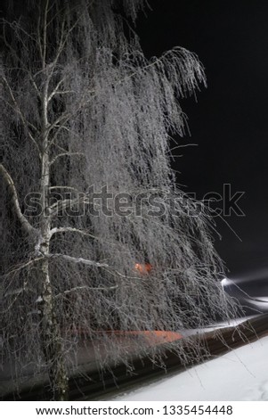 Dark and moody photo of a snowy birch tree on a winter night, white and orange street lights and road on the background.