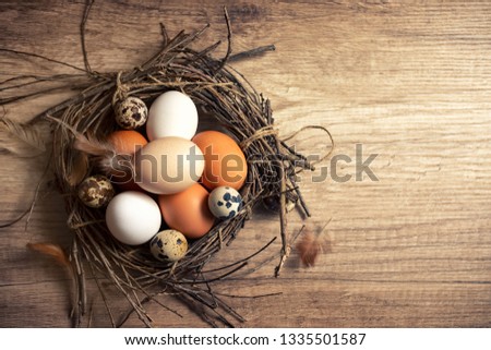 White egg and quail eggs in rustic nest