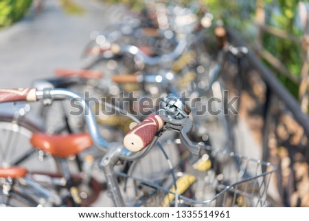Bicycle in the leisure park