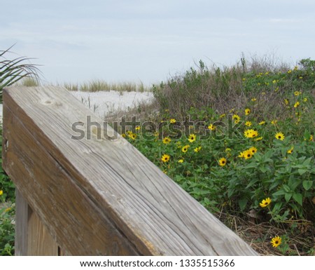 Wooden rail next to flowers
