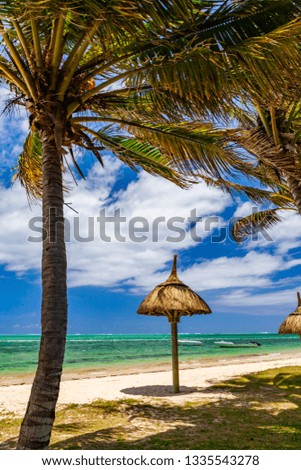 Sandy beach with palm trees, sun beds and umbrellas. Reunion
