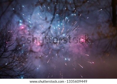 Artsy artistic fireworks with tree branch in the front - smooth looking colors for new years eve - NYE