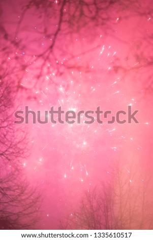 Pink artsy artistic fireworks with tree branch in the front - smooth looking colors for new years eve - NYE
