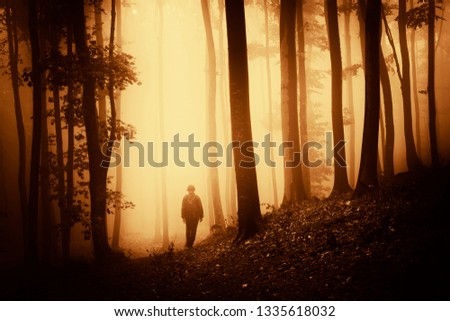 man walking on forest path in autumn sunset light