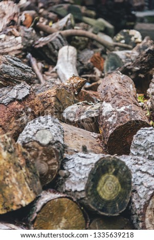 Pile of woodfire with focus in the center of the image with shallow depth of field
