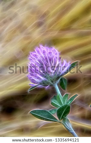 The red clover, or red clover is a plant from the genus Clover, of the family Legumes, subfamily Moth