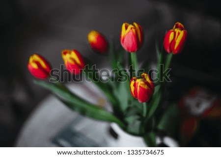 Tulip bouquet on a table in a vase, still life with flowers