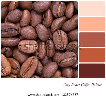 City Roast coffee bean colour palette with complimentary swatches. Part of a series of five images showing grades of roasted coffee.