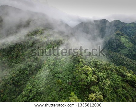 A bird's eye aerial view of the tropical rainforests of Ecuador after a fresh misty morning