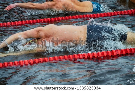 Lovers of winter swimming.Swimmer swims in the pool.He swims the distance at speed.