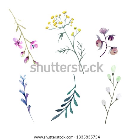 Hand drown Watercolor spring set of plants on a whight background
