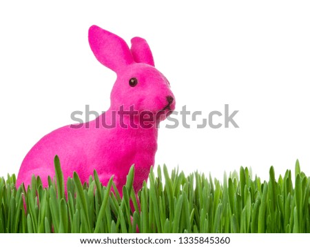 Purple Easter bunny sitting on a meadow isolated in front of white background