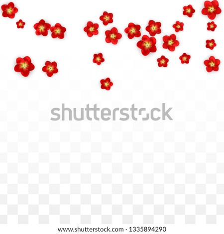 Vector Realistic Red Flowers Falling on Transparent Background.  Spring Romantic Flowers Illustration. Flying Asian Rose Spa Design. Blossom Confetti. Design Elements for  Poster Design. 