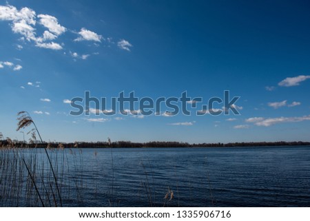 calm lake in bright sun light with reflections of clouds and trees and blue sky. summer in countryside