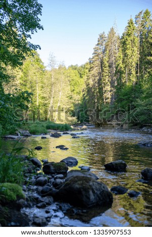 sunrise over the forest river in woods, early light on river Amata in Latvia. stream with rocks and green leaves in summer