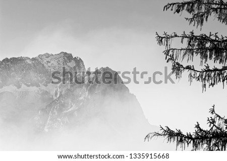 Silhouette of a single tree with the snow covered Bavarian and Tyrolean Alps with the Zugspitze of the Wetterstein mountains in the background, black an white photo, Bavaria, Germany