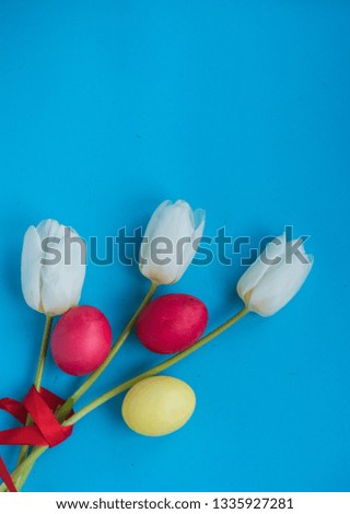 Three white tulips with colorful easter eggs on a blue background. Easter themed composition. Postcard