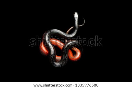 snake black background