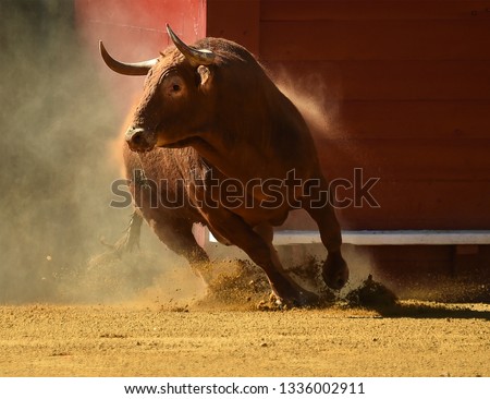 spanish red bull Royalty-Free Stock Photo #1336002911