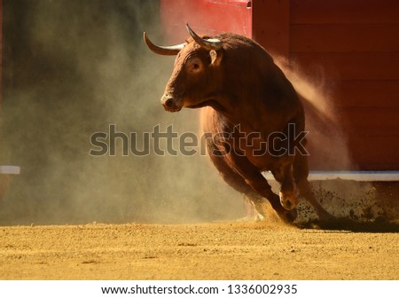 spanish red bull Royalty-Free Stock Photo #1336002935
