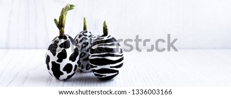 Set of easter eggs painted like zebra, cow, snow leopard on a white wooden background. From eggs bloom green leaves. Three eggs. Banner