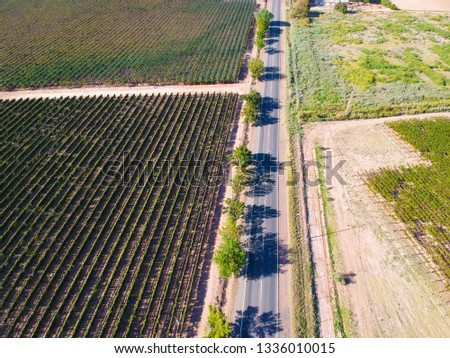 Aerial panoramic photo with drone of the vineyards and the route in summer. Mendoza Argentina.