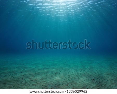 Underwater seascape sandy seabed with natural sunlight below water surface in the Mediterranean sea, France Royalty-Free Stock Photo #1336029962