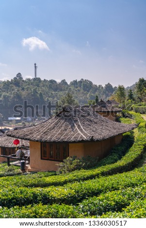 Chinese architectural resort amidst the terraced tea plantation at Rak Thai Village in Mae hong son,Thailand