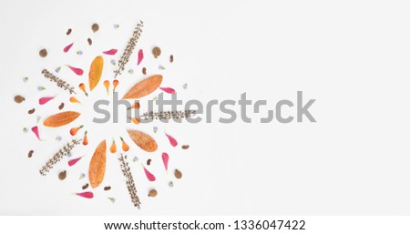 Autumn frame composition made of falling autumn leaves and petal on white background with space for your ideas texts. top view.