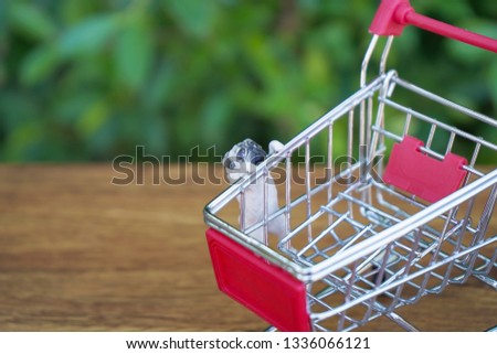 Dog Miniature toy model holding mini shopping cart                               