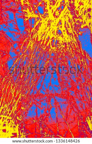 Bright blue, red, and yellow, abstract micrograph of the mineral olivine pyroxenite, viewed with a polarizing microscope at 100x and digitally manipulated in post-processing.