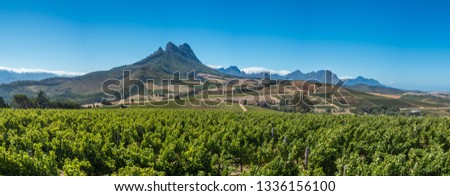 Beautiful landscape of Cape Winelands, wine growing region in South Africa
 Royalty-Free Stock Photo #1336156100