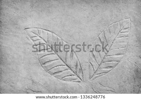 Patterns nature of couple gray leaves printed texture in concrete floor for background