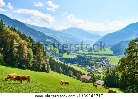View over beautiful Valley "Zillertal" in Tirol in Austria Royalty-Free Stock Photo #1336343717