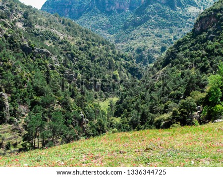 This is a capture of a green landscape in north Lebanon full of green trees, this is a valley situated between huge mountains, nature offer plenty of beautiful color which can be seen in the picture