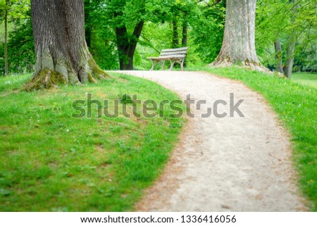 An image of a lonely bench in the green