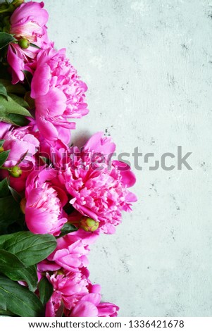 Bouquet of a lot of peonies of pink color close up. Flat lay, top view. Peony flower texture. Purple peonies on a gray background, copy space.