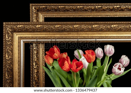 A bouquet of tulips in a frame for paintings on a black background
