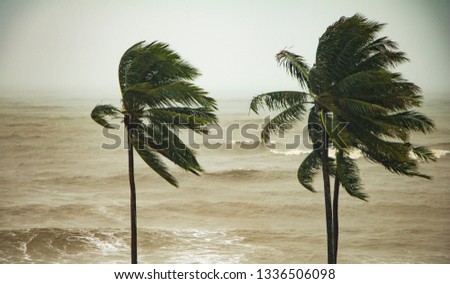 Tropical sandy beach in Thailand, stormy weather, low season. green palms, grey sky. 