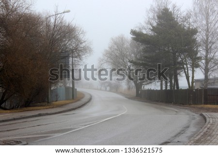 Misty road and trees