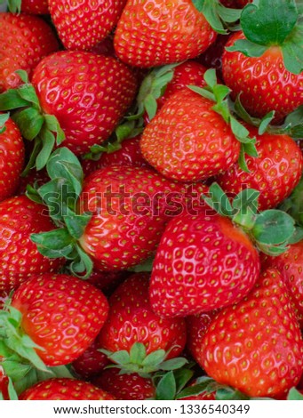 red fresh ripe strawberries group 