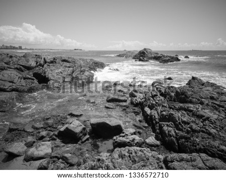 Black and white landscape - Beach with rocks