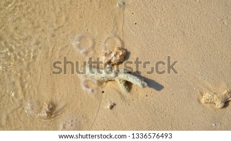 Sea sand beach